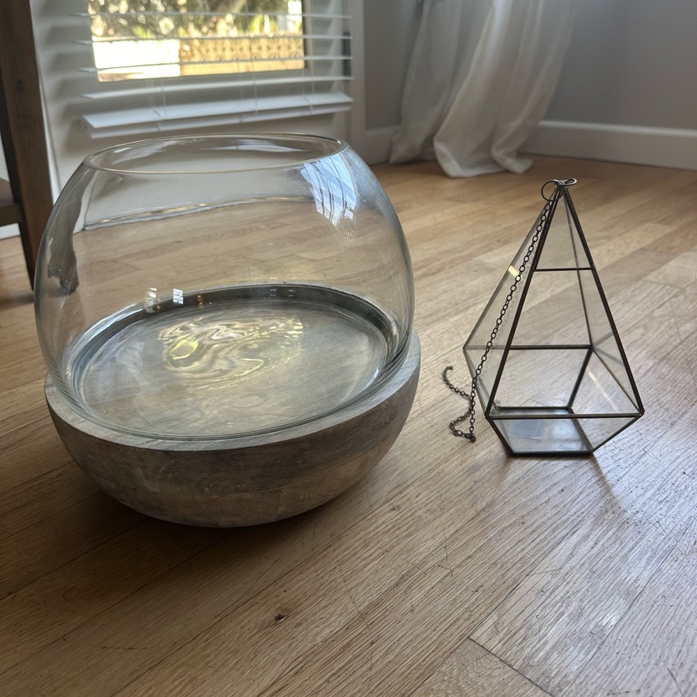 Plant terrariums